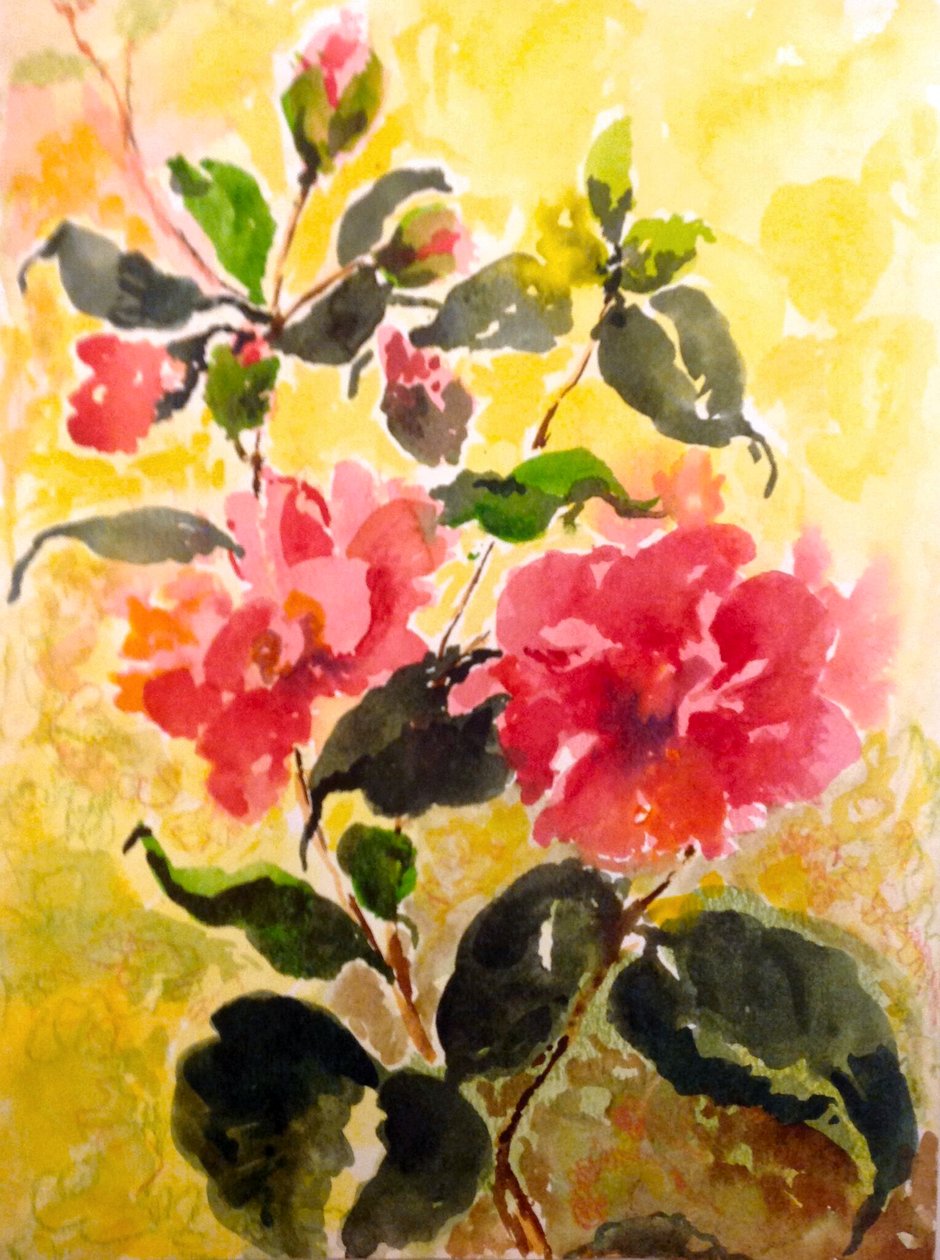 Camelias od Mary Smith