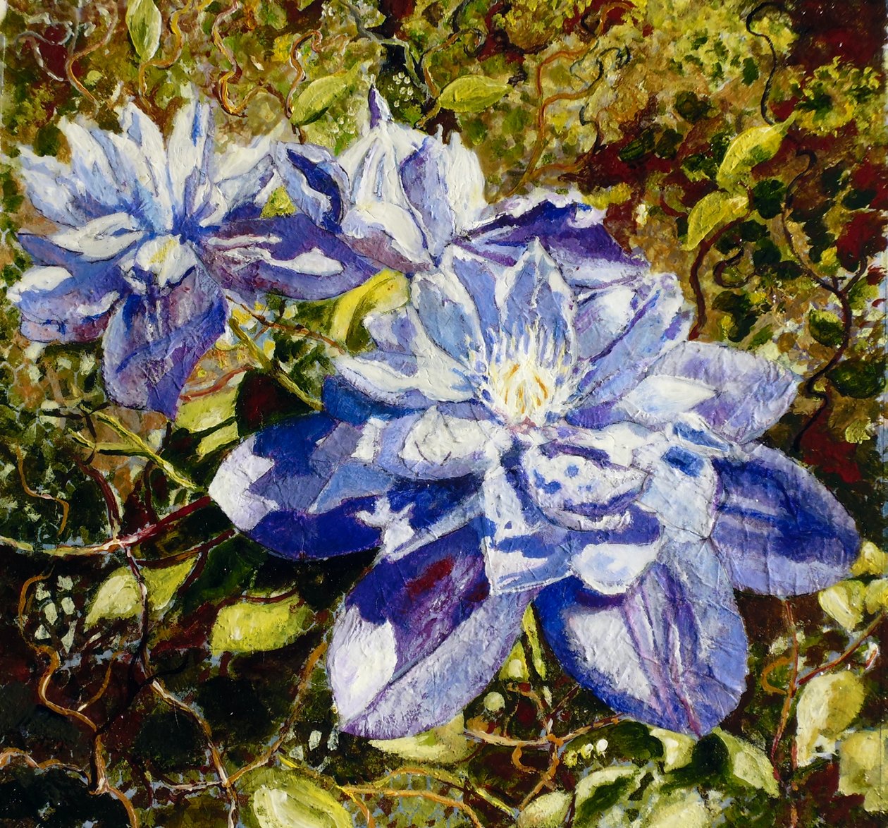 Clematis od Mary Smith
