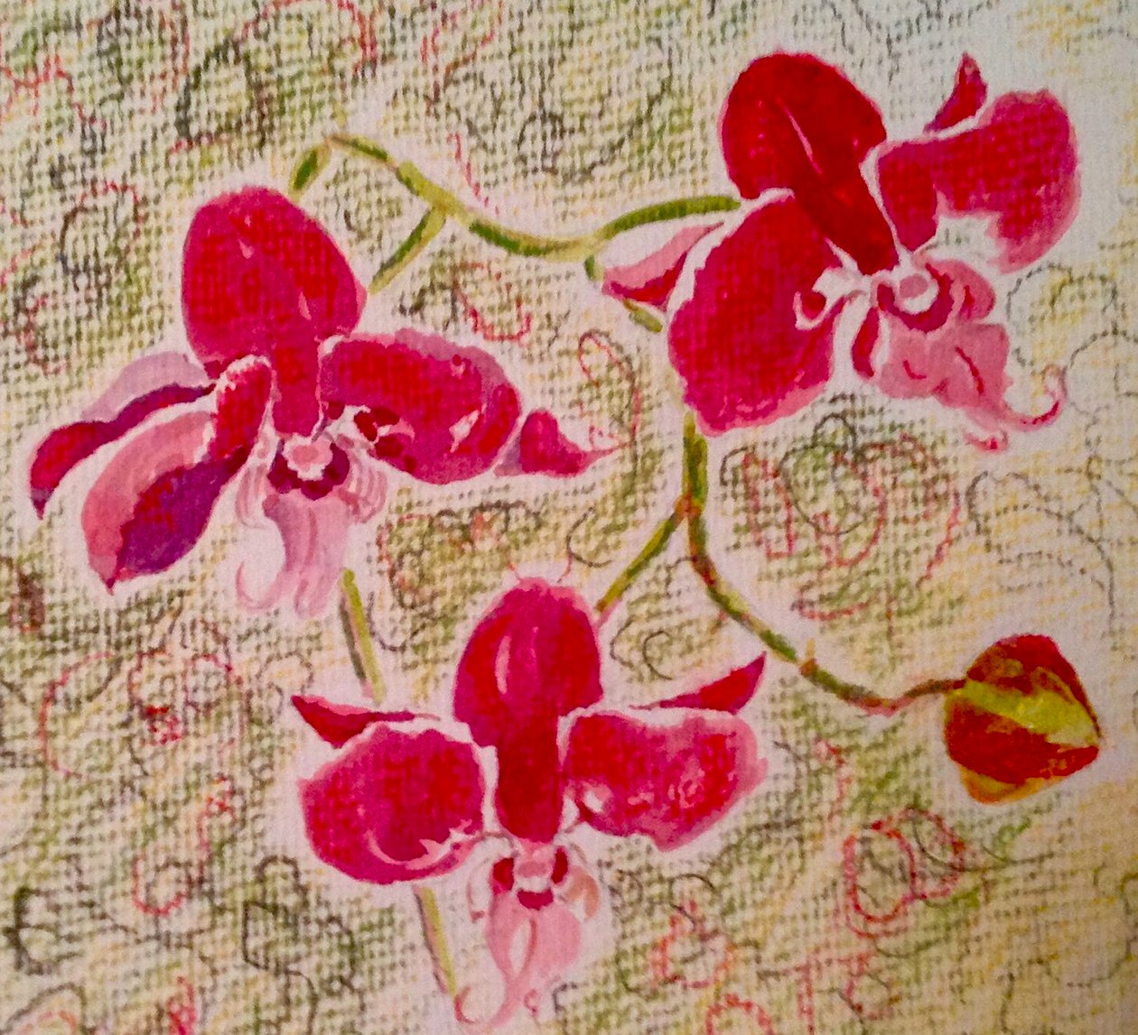 orchideje od Mary Smith