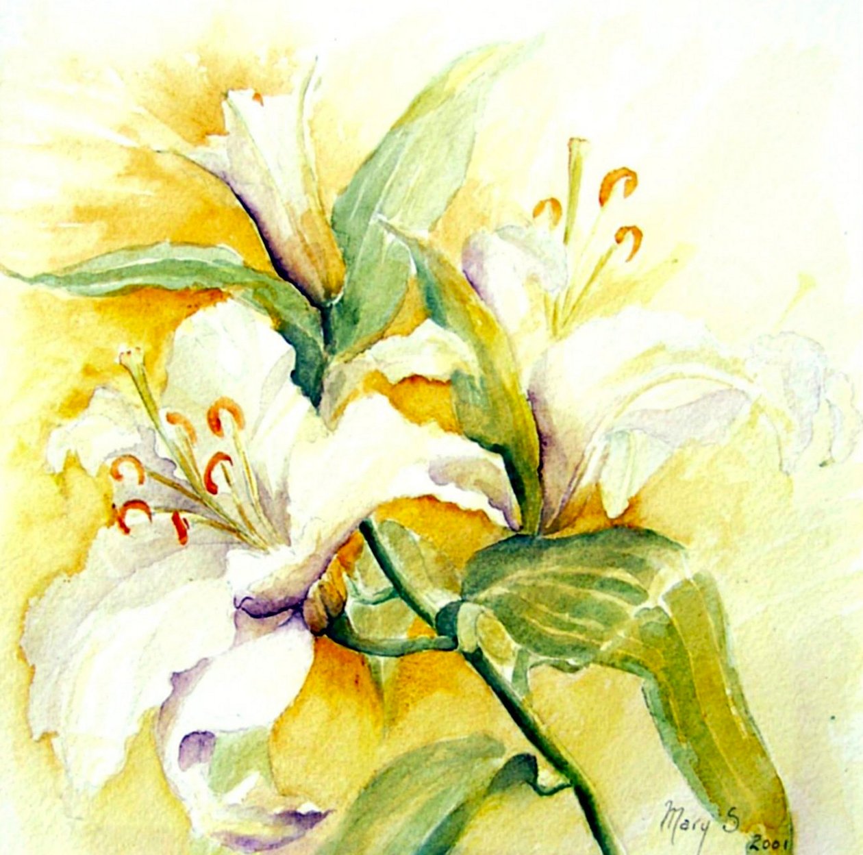 bílé lilie od Mary Smith