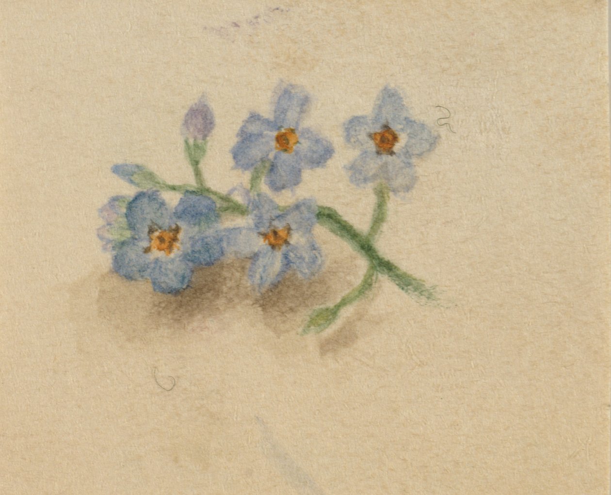 Bez názvu, 1874. od Mary Vaux Walcott