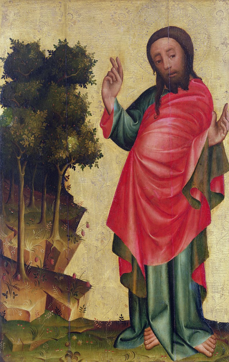 Stvoření suché země a vegetace, detail z The Grabow Altarpiece, 1379-83 (tempera na panelu) od Master Bertram of Minden