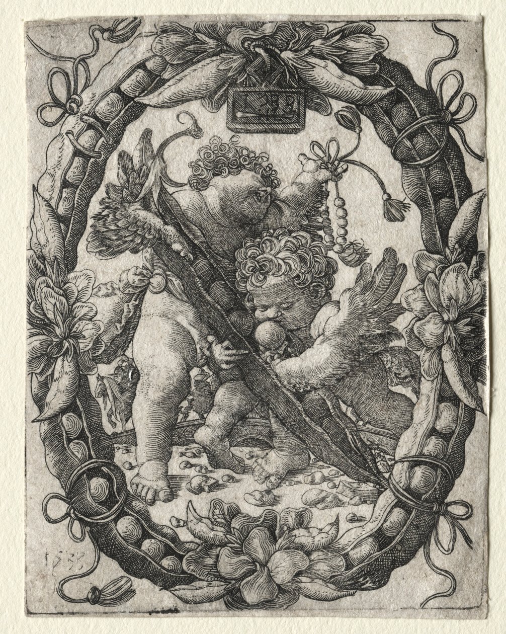 Hrachový lusk, 1533. od Master H. L.