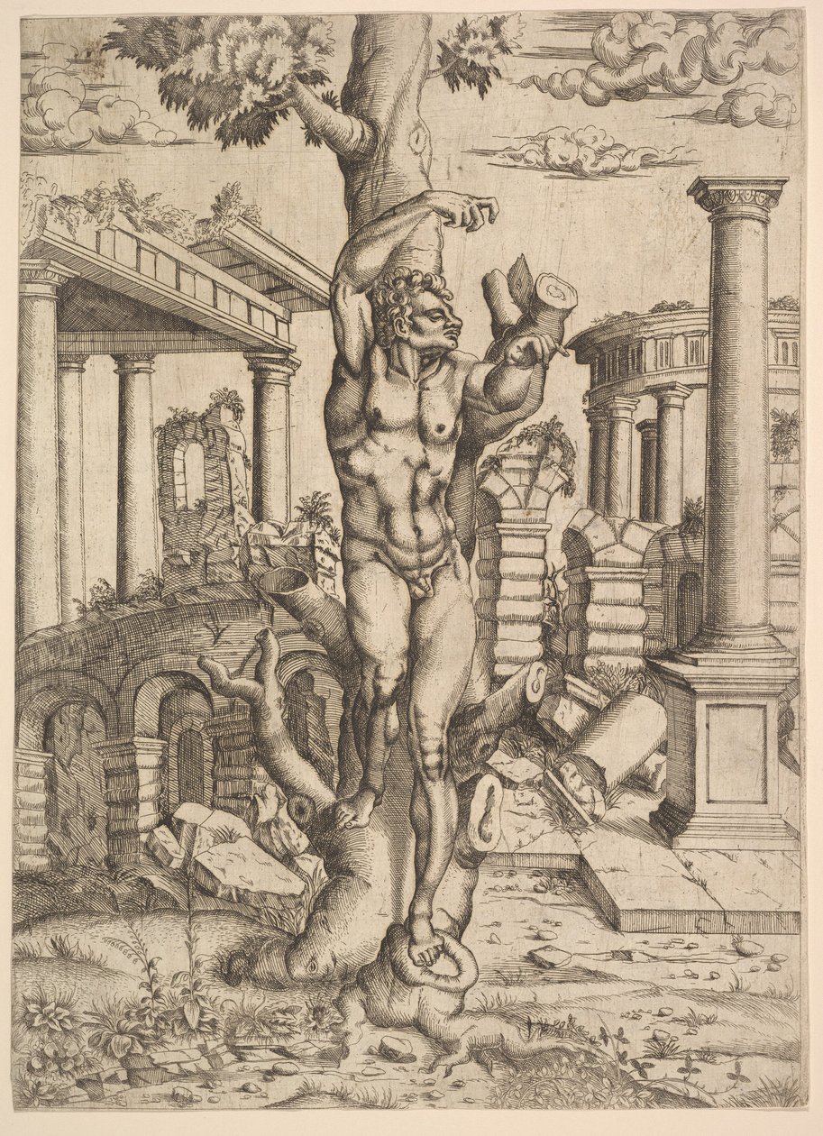 Muž proti stromu, ca. 1543-44. od Master IQV