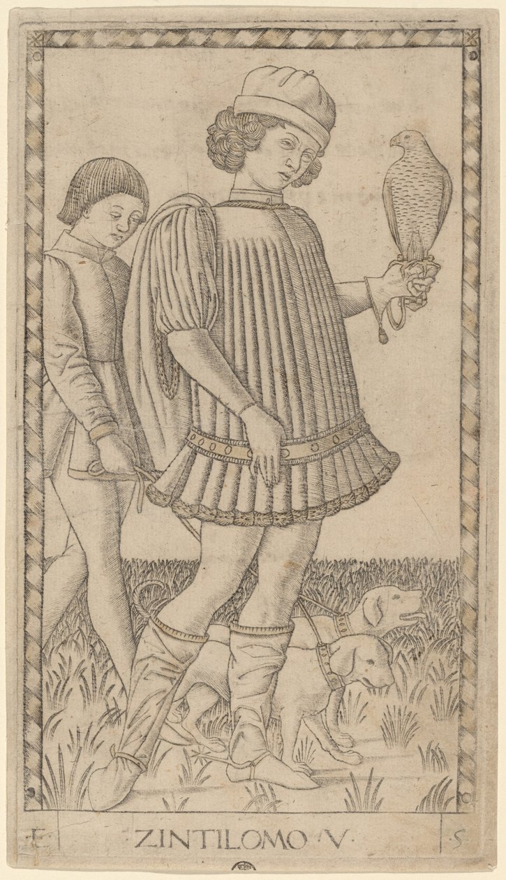 Zintilomo (gentleman) od Master of the E Series Tarocchi