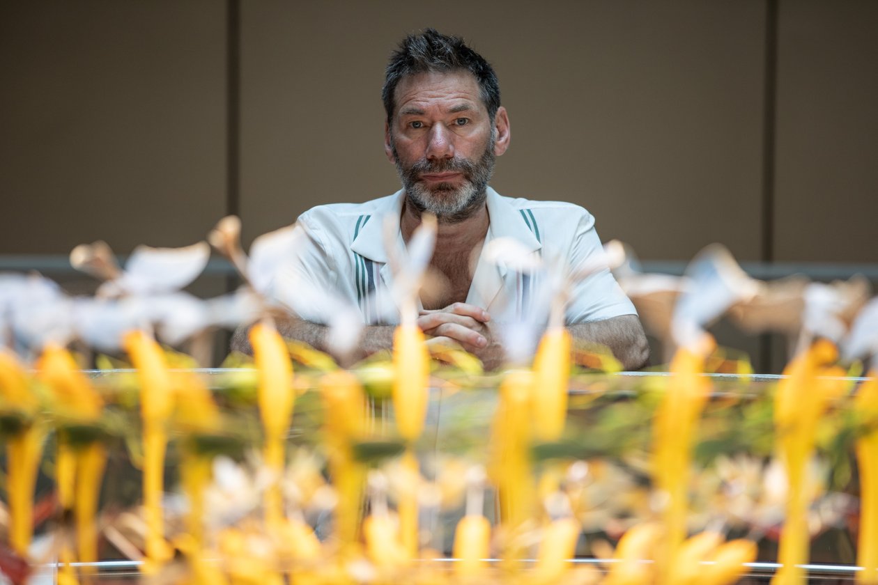 Equinox, 2021 (foto) od Mat Collishaw