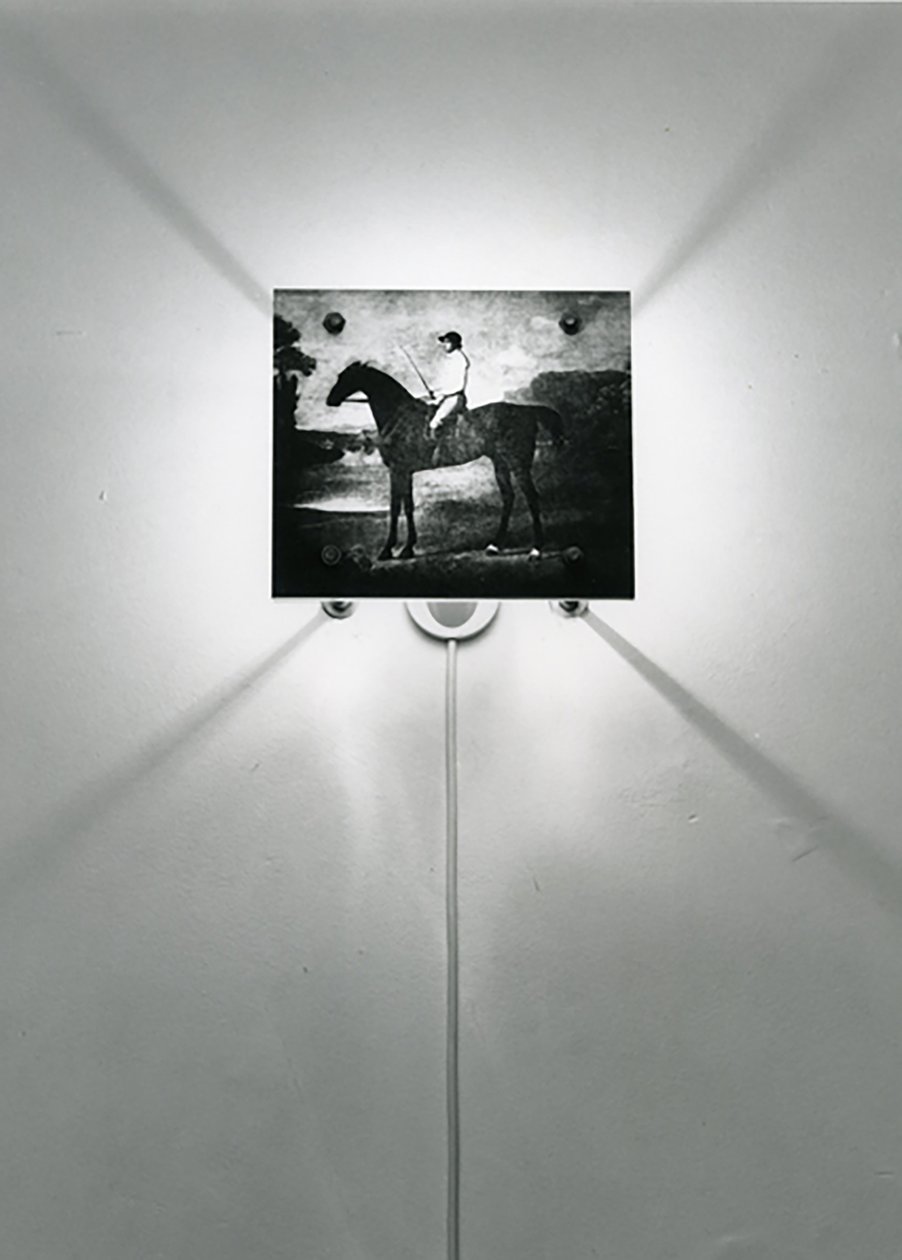 Stubbs Horses od Mat Collishaw