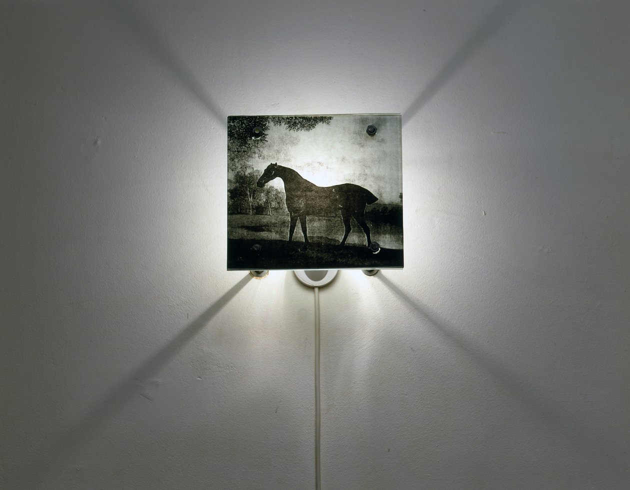 Stubbs Horses od Mat Collishaw