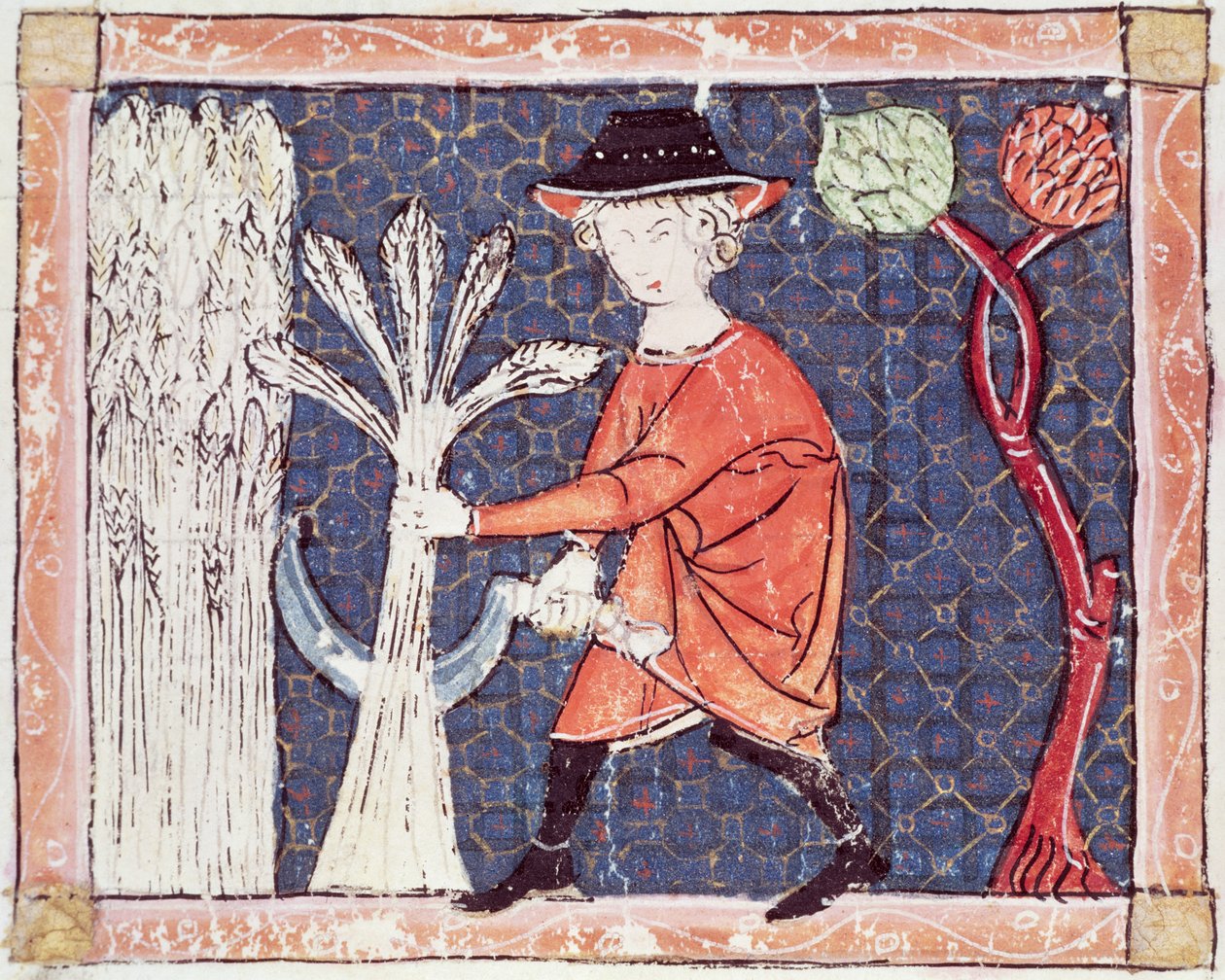 Fol.58v Červenec: Sklizeň od Matfre Ermengaut