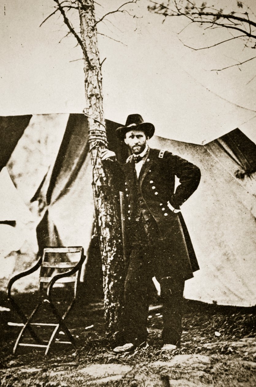 Generál Grant u stromu, City Point, 1864 od Mathew B. Brady