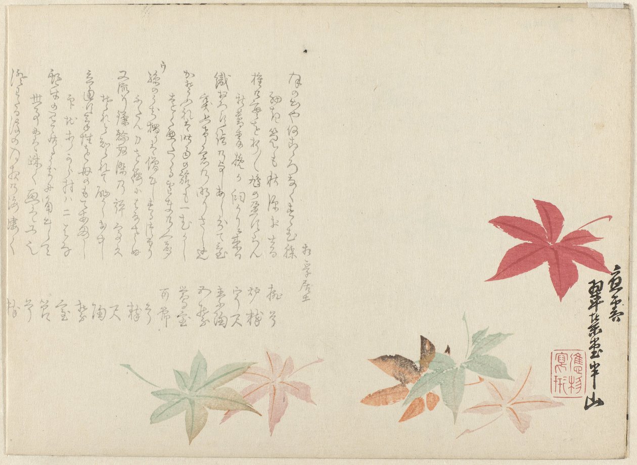 Japonský javor od Matsukawa Hanzan
