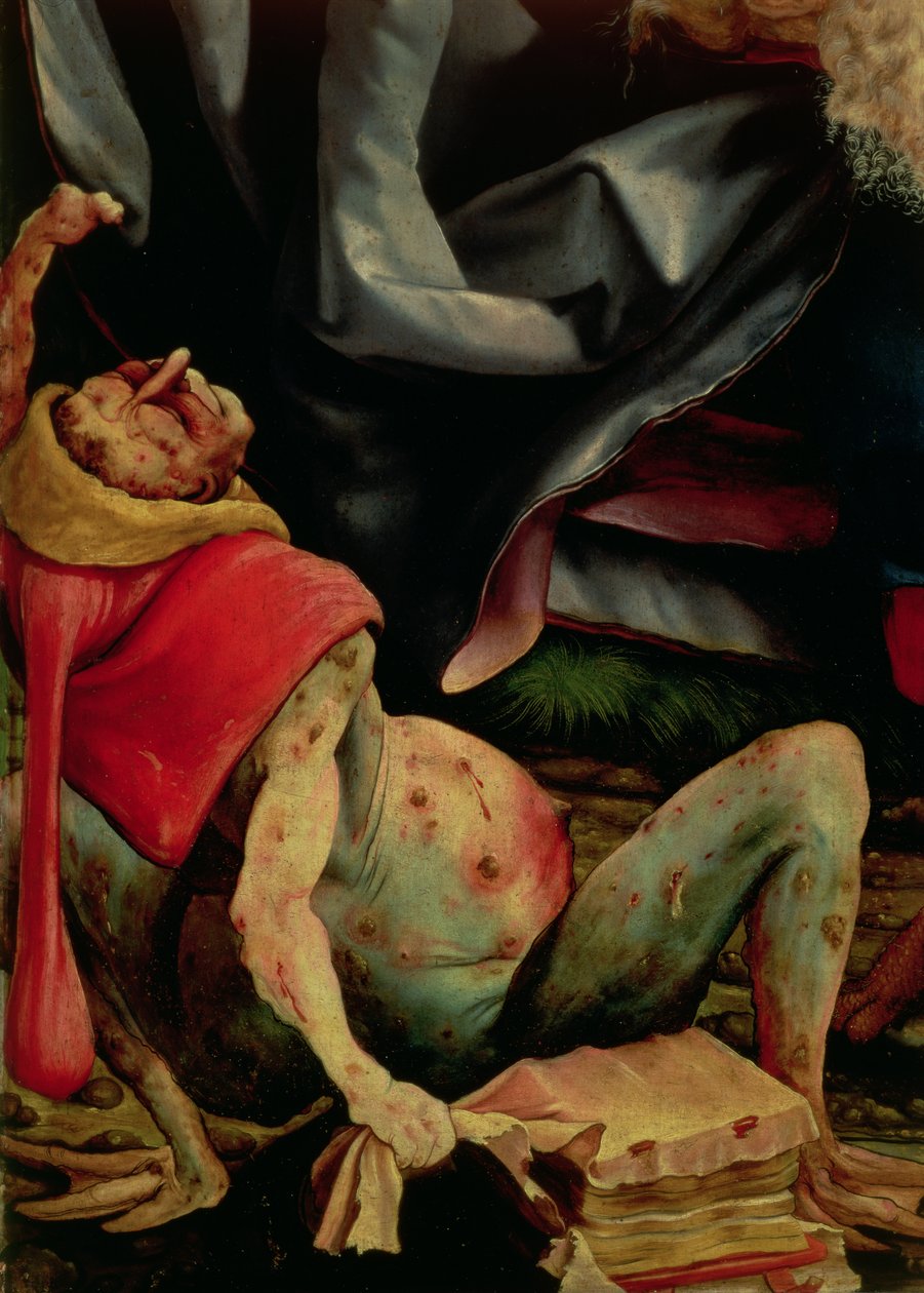 Suffering Man, detail z rubu Isenheimského oltáře, c.1510-15 od Matthias Grünewald