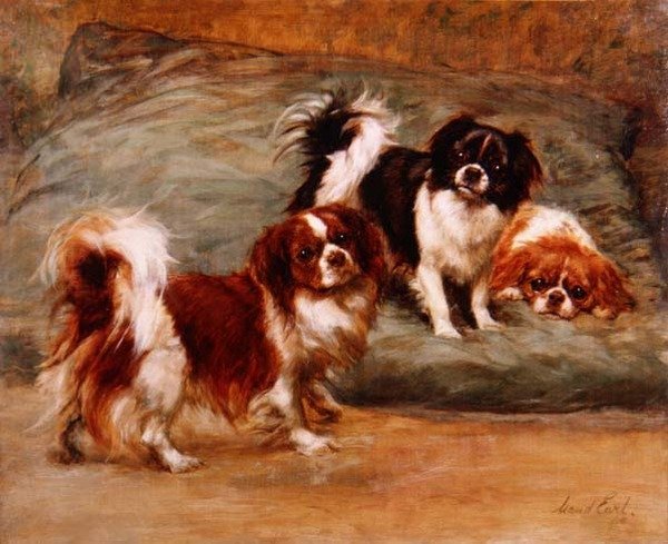 Tři King Charles Španělé na polštáři od Maud Earl