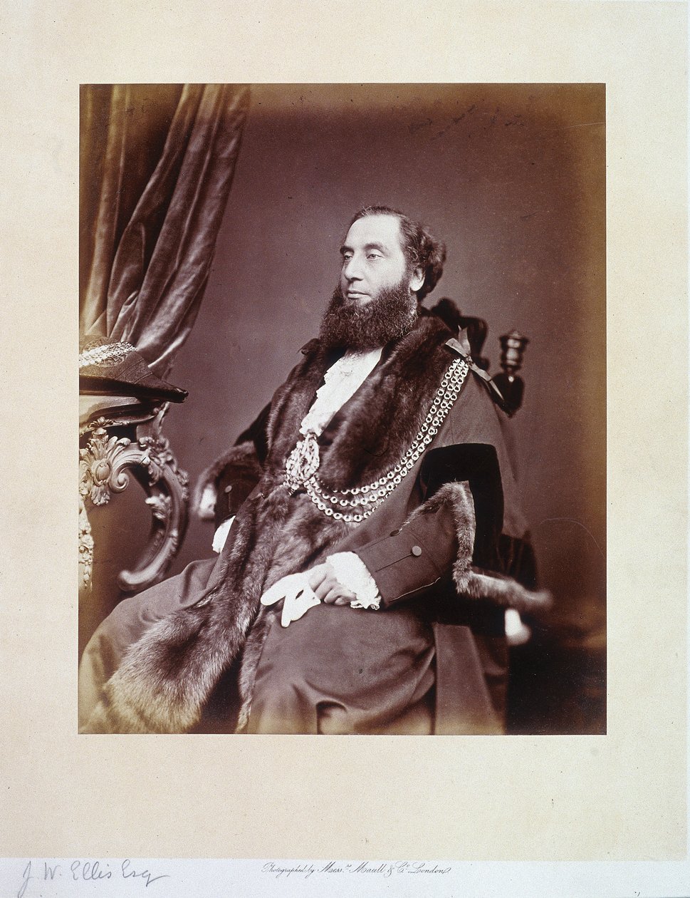 Sir John Whittaker Ellis, c1865 od Maull and Co