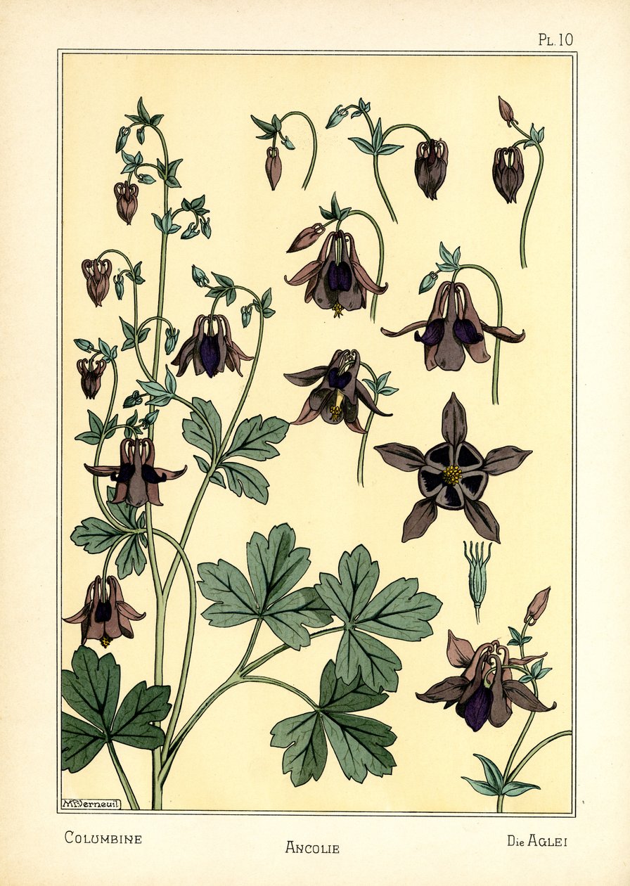 Columbine (barevné lito) od Maurice Pillard Verneuil