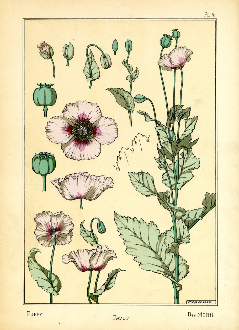 The Poppy (barva lito) od Maurice Pillard Verneuil