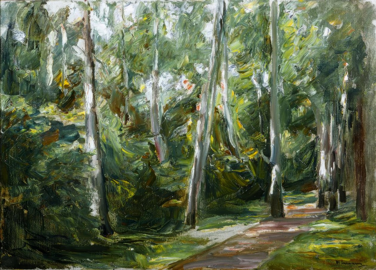 Březová alej v zahradě Wannsee na jihozápad od Max Liebermann