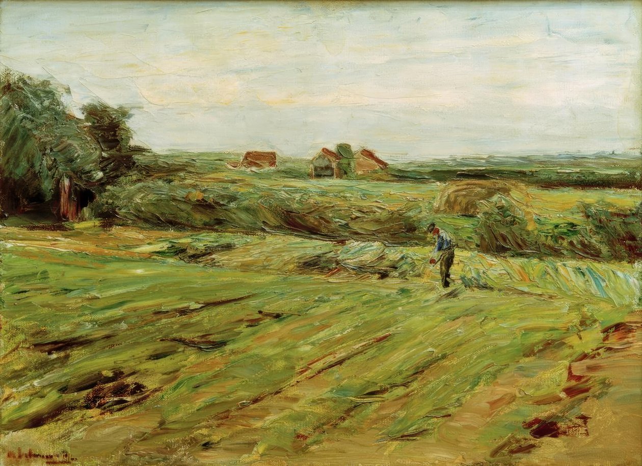 Sklizňové pole - zelné pole (?) od Max Liebermann