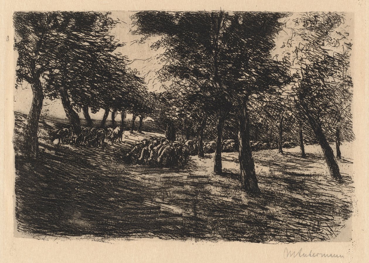 Stádo ovcí pod stromy, 1891. od Max Liebermann