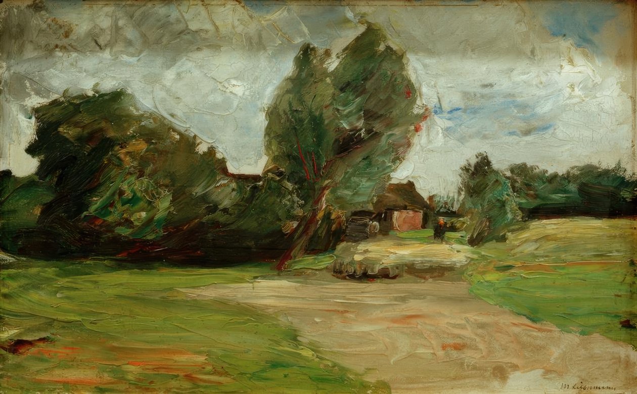 holandská krajina od Max Liebermann