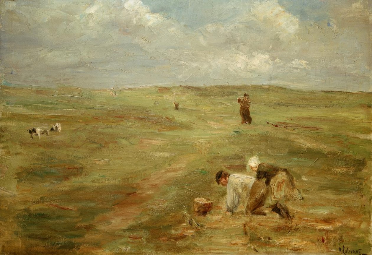 Vykopávače brambor v dunách Zandvoortu od Max Liebermann