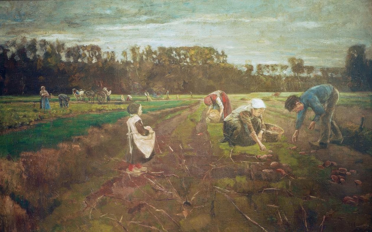 Sklizeň brambor v Barbizonu od Max Liebermann