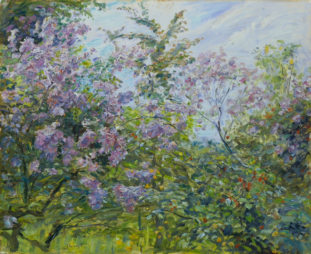 Kvetoucí šeřík, cca 1921 (olej na dřevě) od Max Slevogt