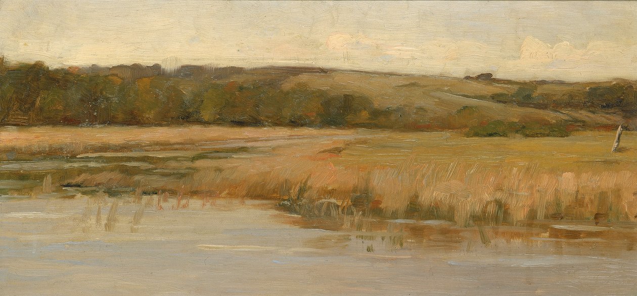 Hill and Marshland, konec 19.-začátek 20. století. od Max Weyl