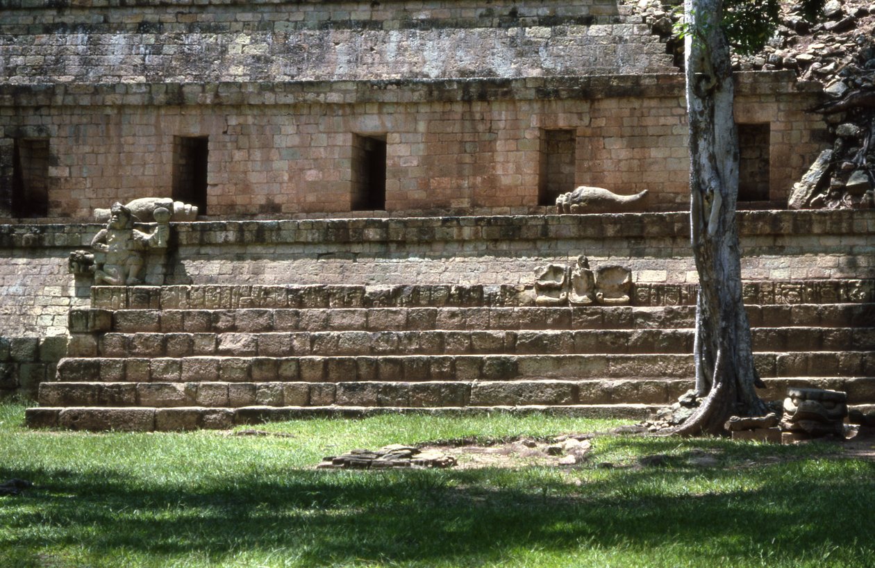 Západní dvůr v Copanu, pozdně klasické období 600-900 n. l. od Mayan