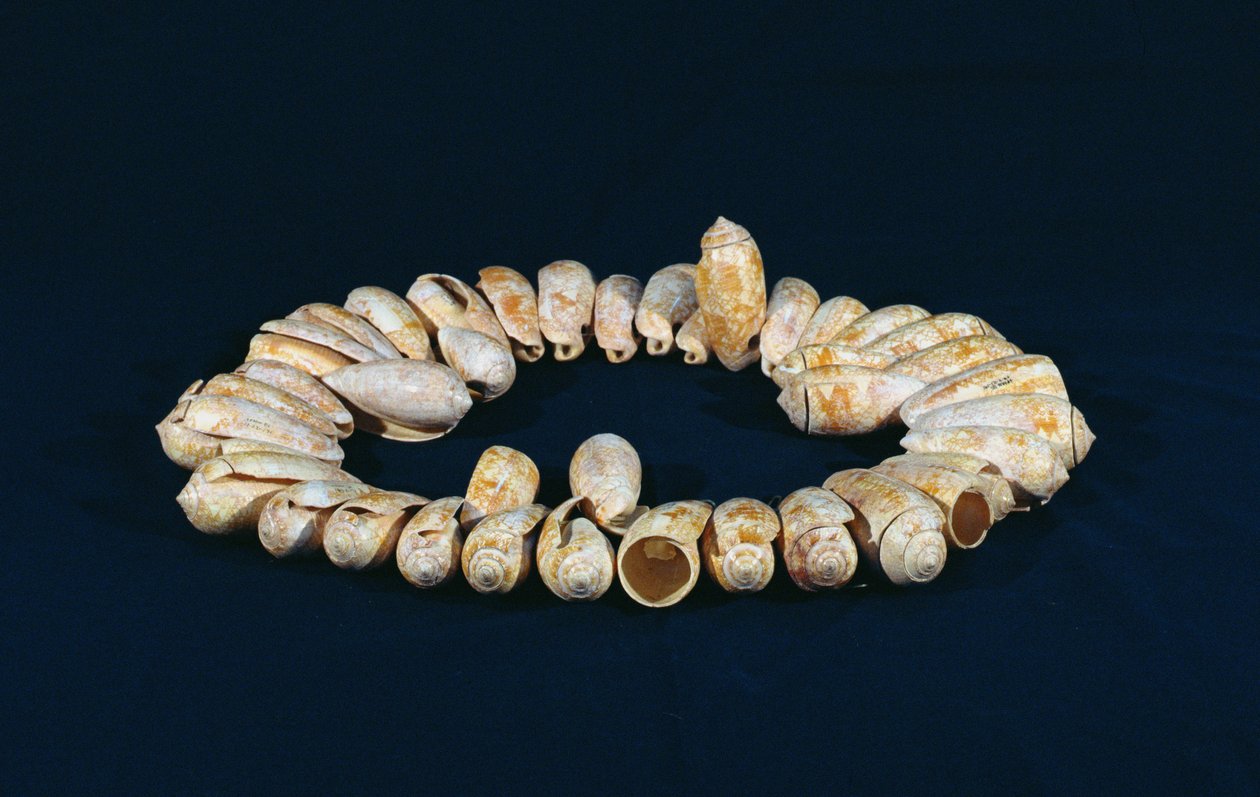 Náhrdelník, z Topoxte, Peten, Guatemala, pozdní klasické období (shell) od Mayan