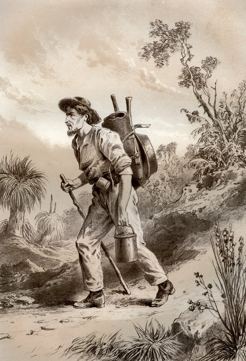 Bagr na trampu, Austrálie, 1879. od McFarlane and Erskine