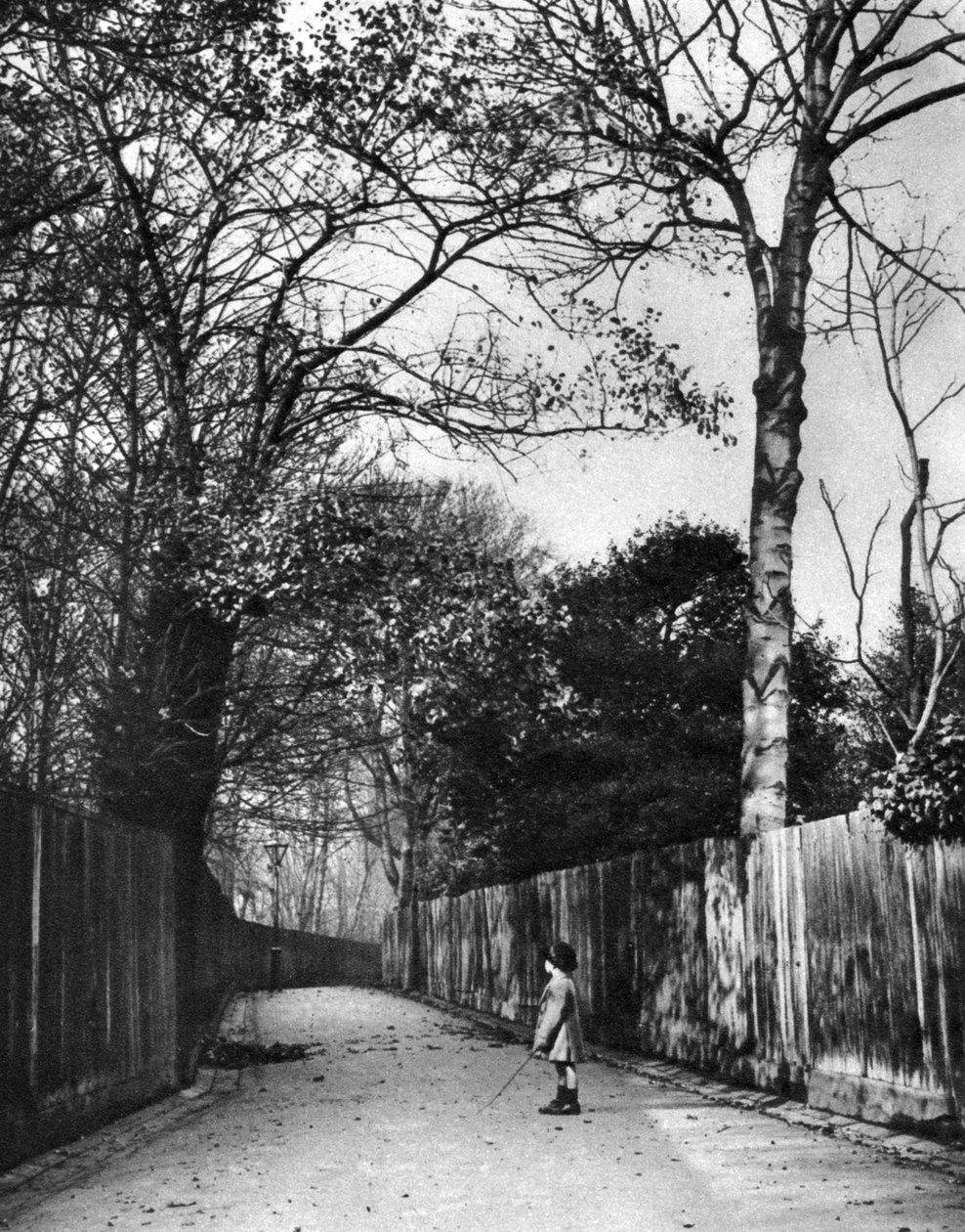 Podzimní čas v Holland Walk, Londýn, 1926-1927. od McLeish