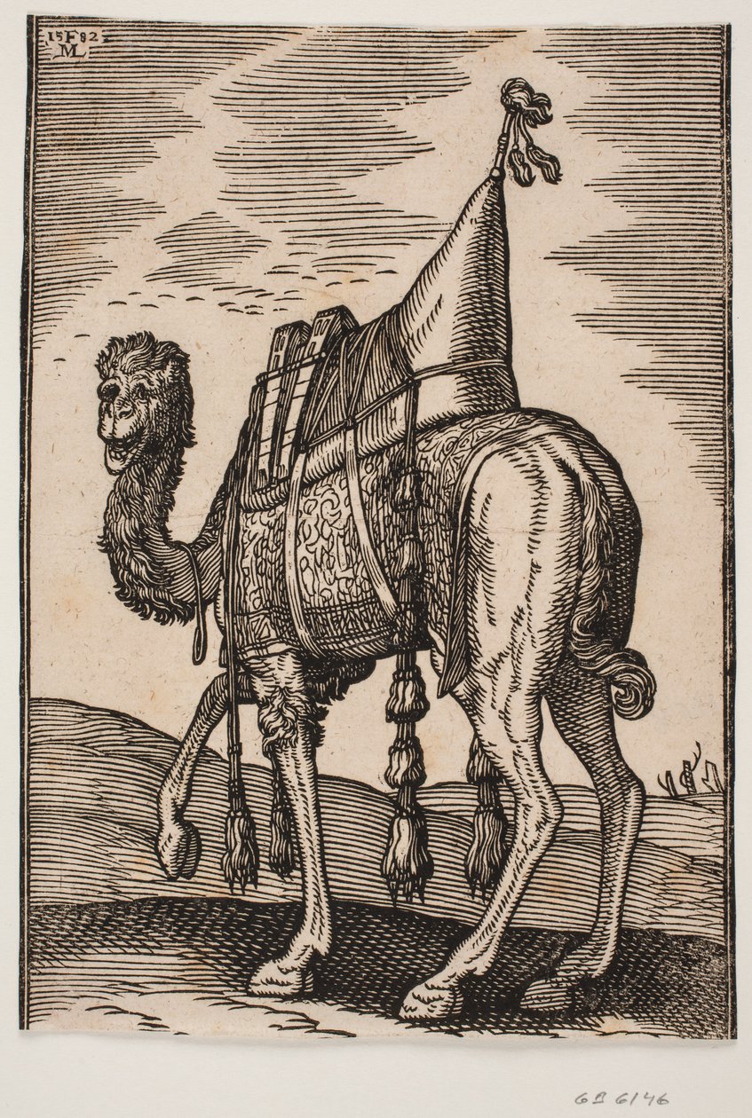 Osedlý velbloud od Melchior Lorck