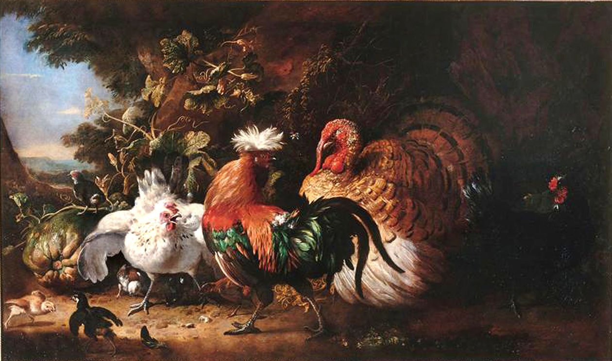 Francouzsky: Oiseaux de basse-cour od Melchior d