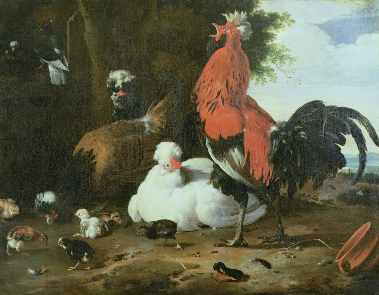 Selské ptactvo s holuby od Melchior de Hondecoeter
