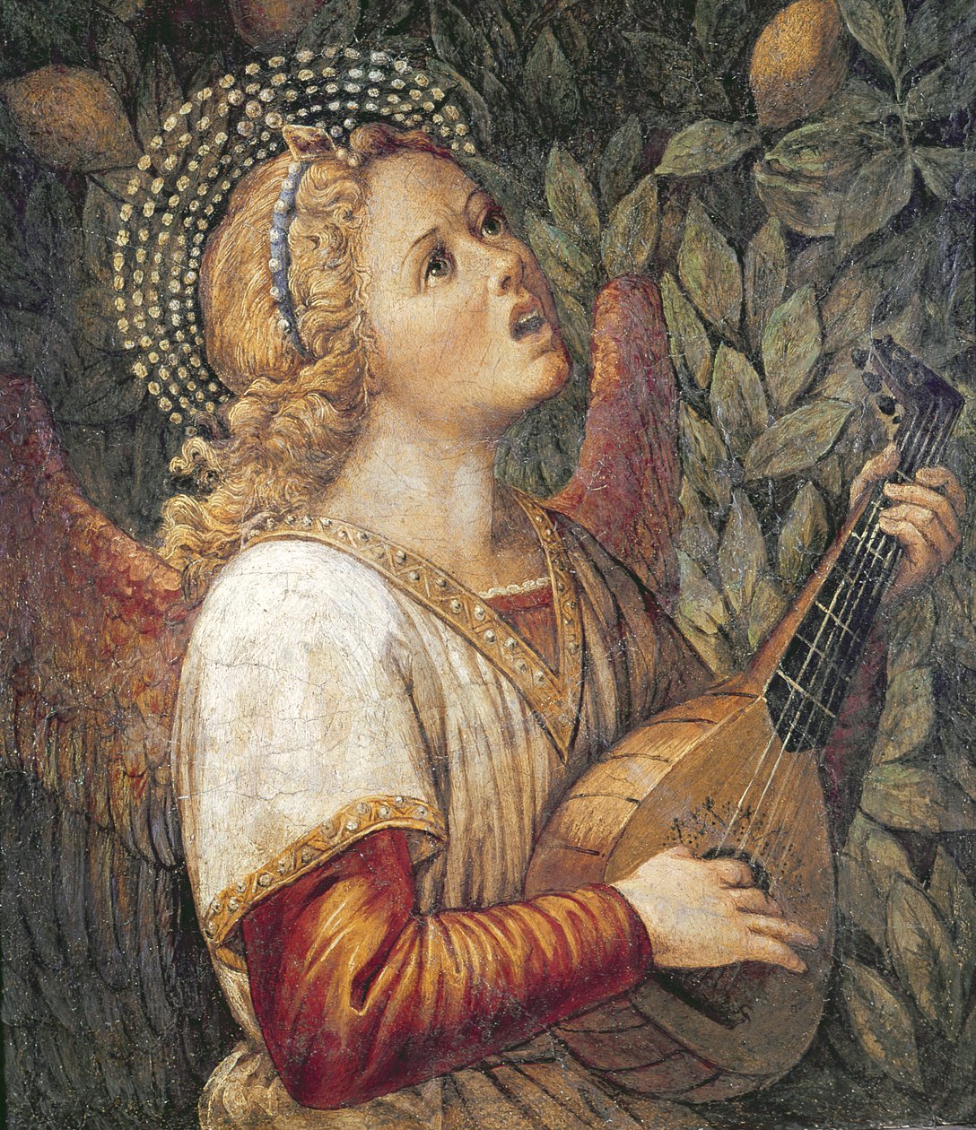 Andělský hudebník od Melozzo da Forli