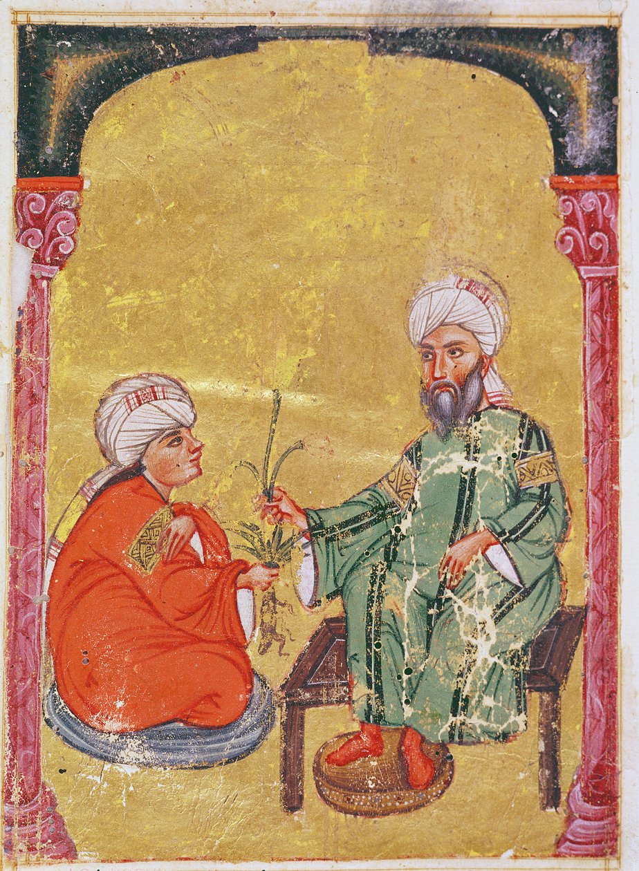 Ahmet III, 2127 Ilustrace z Dioskoridova díla "De Materia Medica". od Mesopotamian