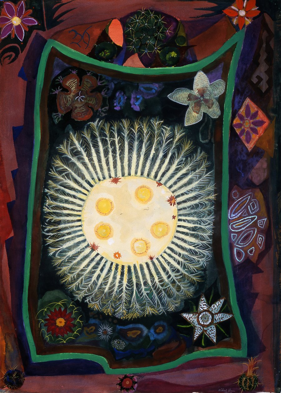 Pocta Echincactus, 1999 (wc na papíře) od Michael Chase
