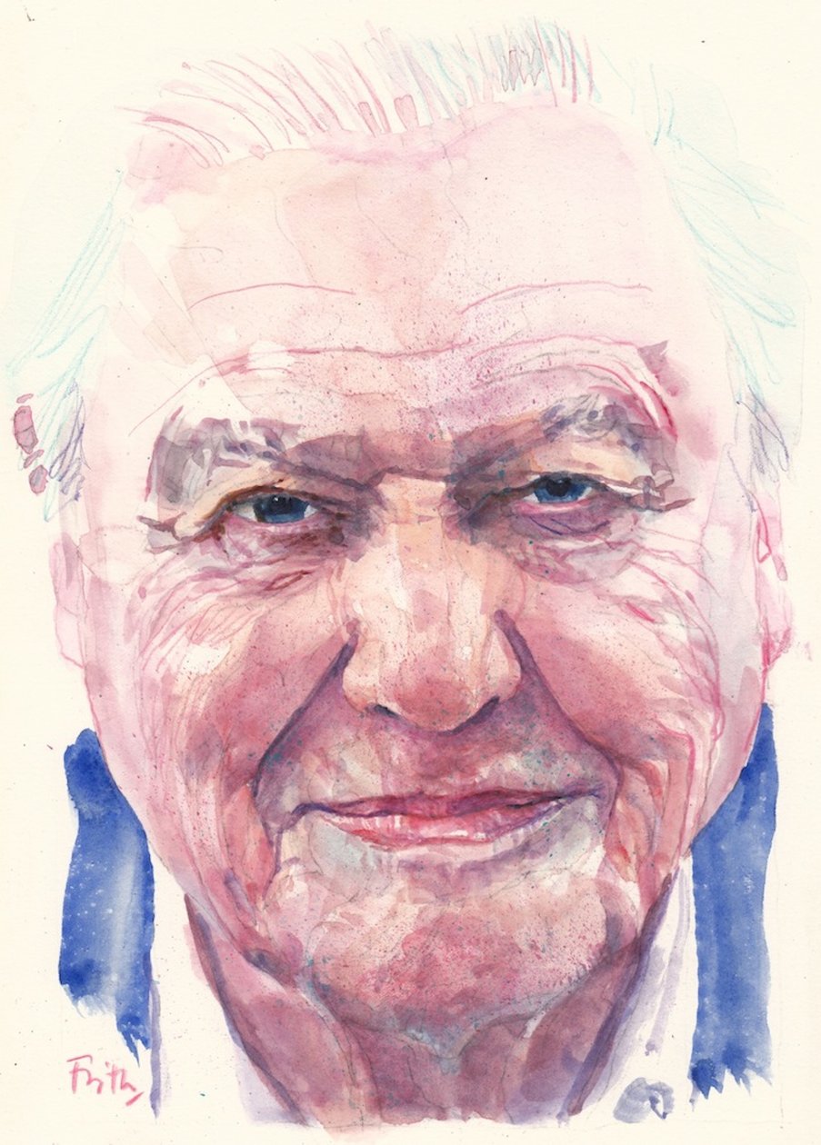 Sir David Attenborough (akvarel) od Michael Frith