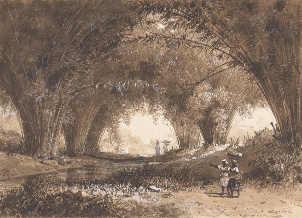 Bamboo Arches, St. Anns od Michel Jean Cazabon