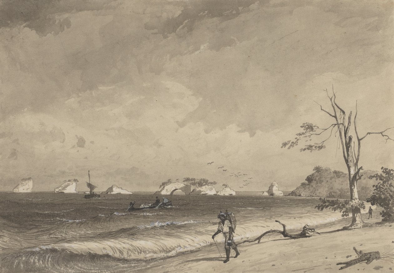 Los Gallos, Icacos Bay od Michel Jean Cazabon