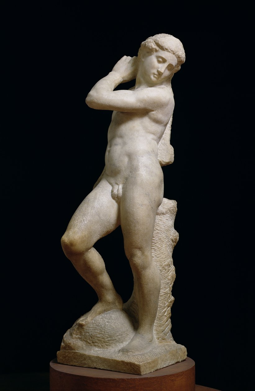 Apollo, nebo David, c.1530 (mramor) (viz také 79843 a 230332) od Michelangelo Buonarroti
