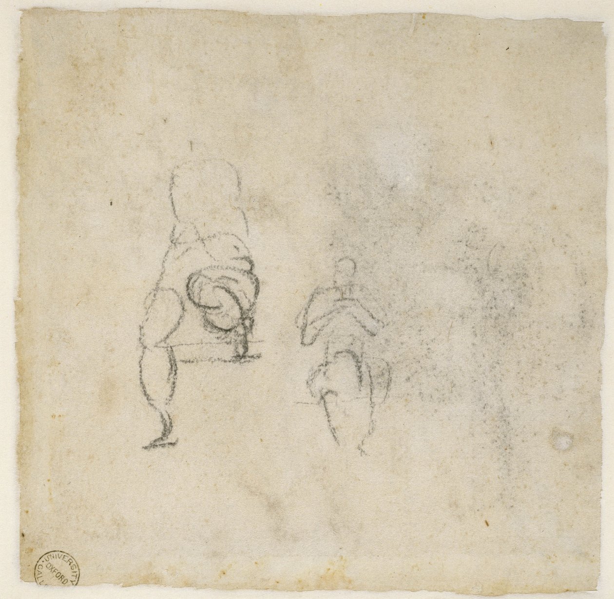 Figure Studies, cca 1511 (černá křída na papíře) od Michelangelo Buonarroti