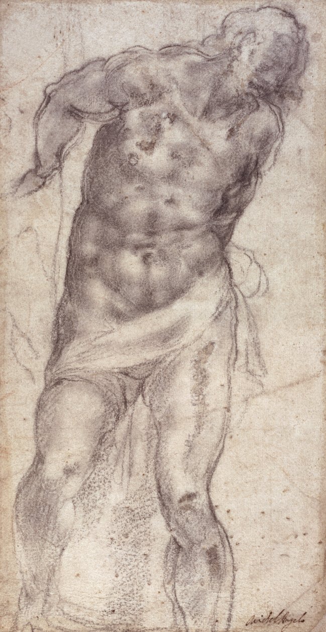 Obrázek Studie od Michelangelo Buonarroti