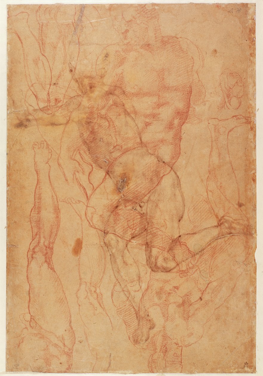 Figurální studie (červená křída na papíře) od Michelangelo Buonarroti