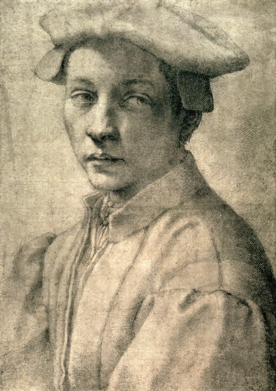 Portrét Andrea Quaratesi, kolem roku 1532 (černá křída na papíře) od Michelangelo Buonarroti