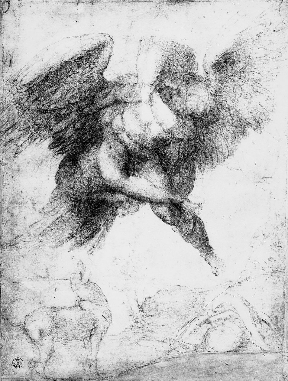 Znásilnění Ganymeda (červená křída na papíře) od Michelangelo Buonarroti