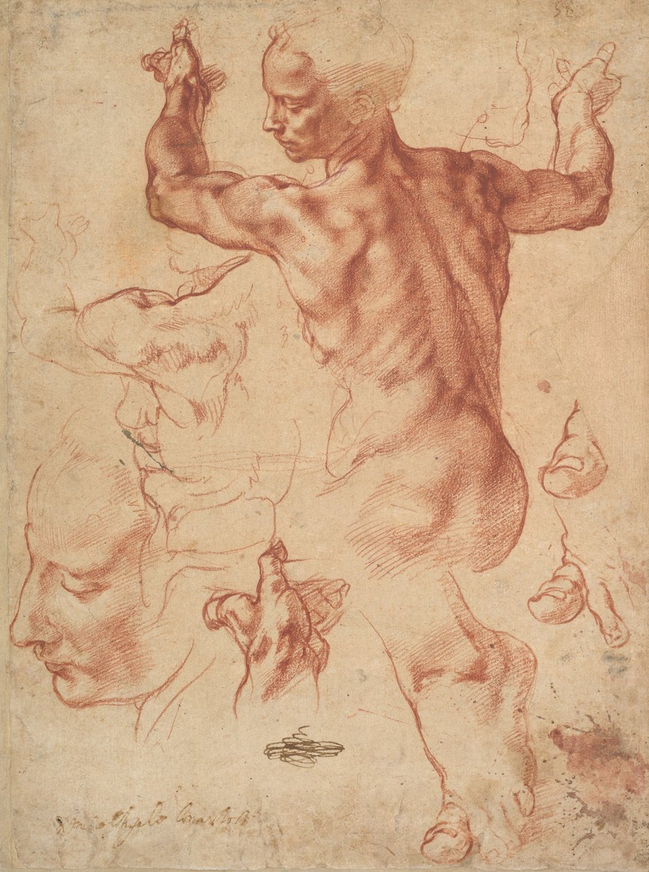 Studie pro libyjskou Sibylu (recto), c.1510-11 (červená křída na papíře) od Michelangelo Buonarroti