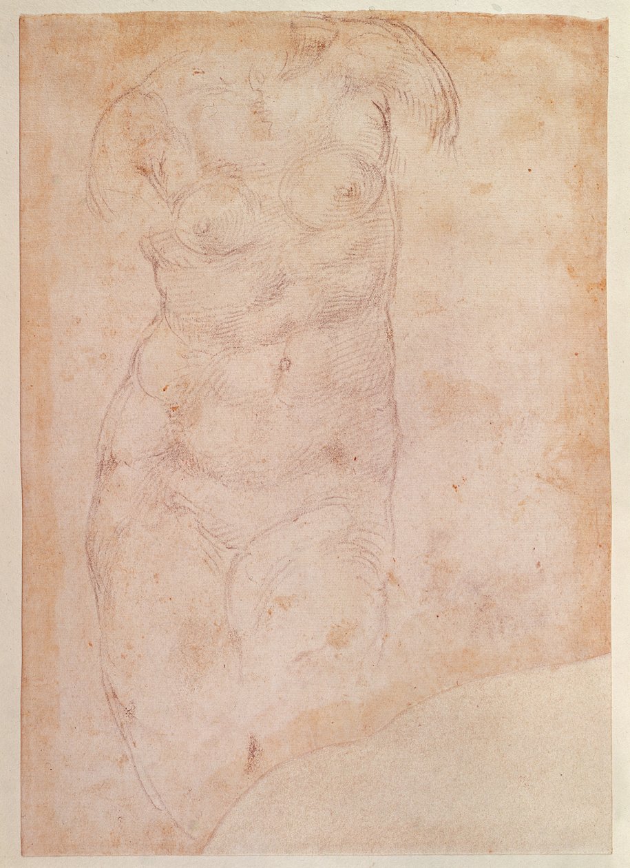 Studie ženského aktu od Michelangelo Buonarroti