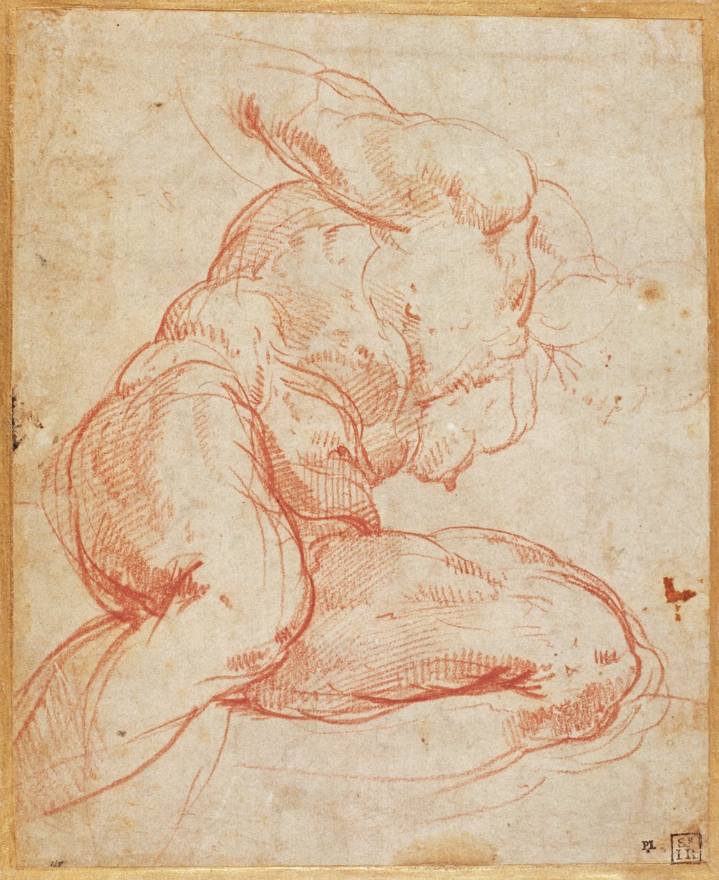 Studie aktu od Michelangelo Buonarroti